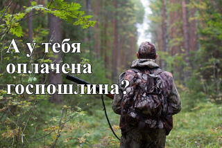 А У ТЕБЯ ОПЛАЧЕНА ГОСПОШЛИНА ЗА ПРЕДОСТАВЛЕНИЕ ПРАВА НА ОХОТУ?