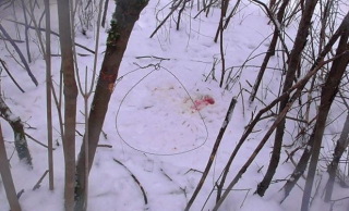 Охотничьи петли