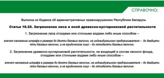 С заботой о природе