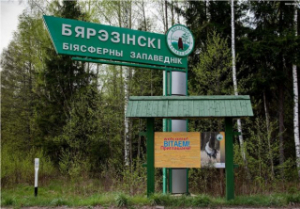 Бярэзінскі запаведнік пашырае супрацоўніцтва з расійскімі калегамі