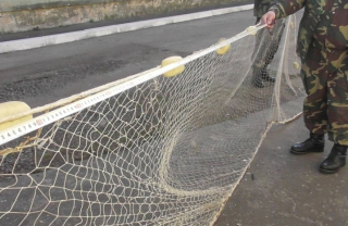 Рыбаков, добровольно сдавших свои сети, освободят от ответственности