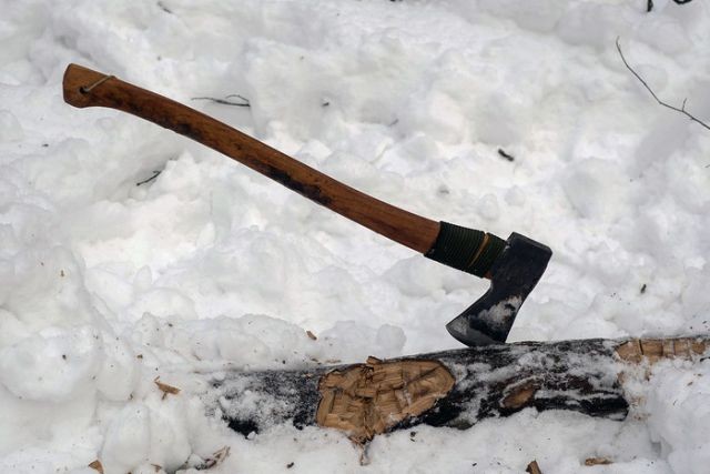 НЕЗАКОННАЯ РУБКА