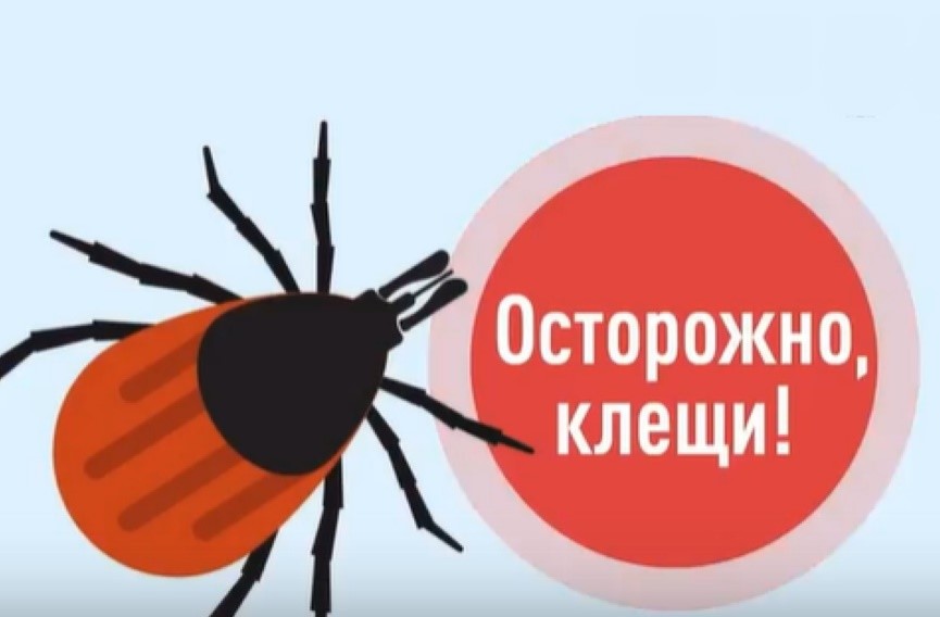 Осторожно, клещи!