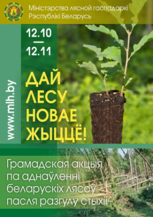 Каля 300 прафактывістаў Віцебскай вобласці прымуць удзел у рэспубліканскай акцыі "Дай лесу новае жыццё!"