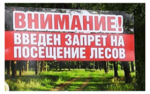 Увага! Усталяваны IV клас пажарнай бяспекі ў лясах. Наведванне людзей і ўезд транспартных сродкаў на тэрыторыю ляснога фонду строга забаронены