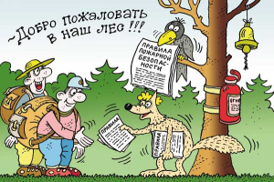 Лесные пожары