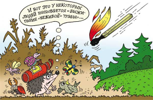 Будьте бдительны при наведении порядка на приусадебных участках!