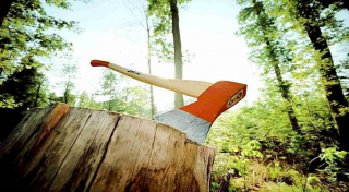 Лепельская межрайонная инспекция охраны животного и растительного мира напоминает