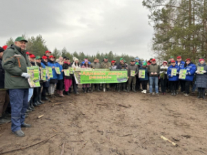 Больш за 50 тысяч саджанцаў пасадзілі сёння на Лепельшчыне