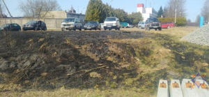 В Лепеле в результате горения сухой травы повреждены три автомобиля