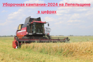 Уборачная кампанія ў разгары