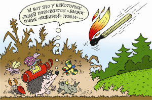 Будьте осторожны! Пожароопасный период начался