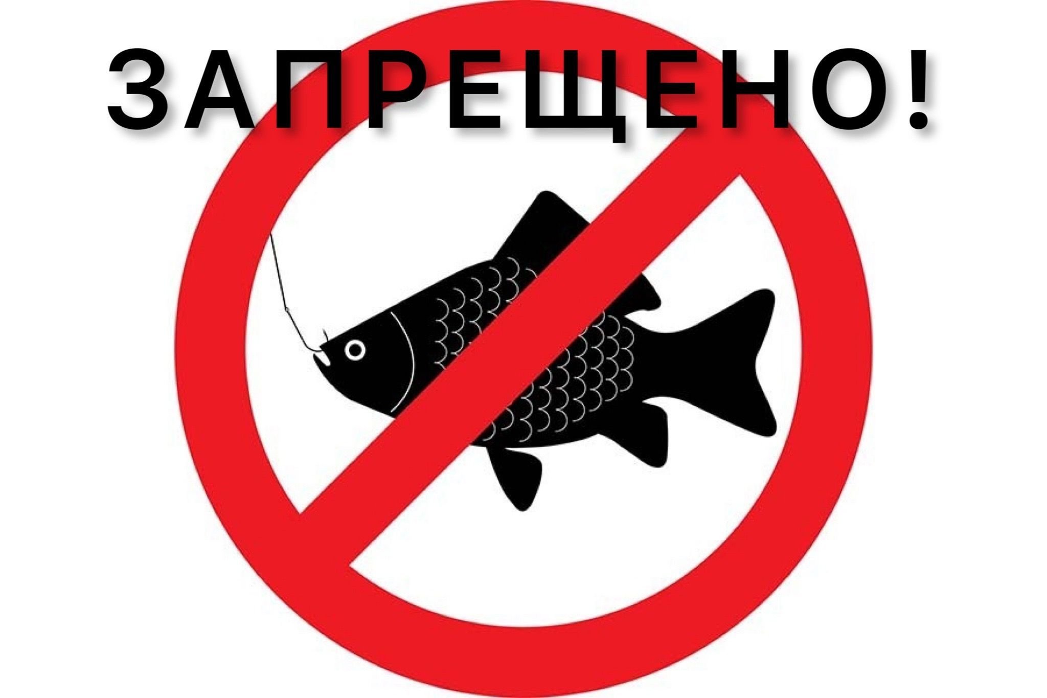Лепельская межрайонная инспекция охраны животного и растительного мира информирует об ограничениях и запретах на любительское рыболовство во время нереста, а также о проведении СКМ «НЕРЕСТ»
