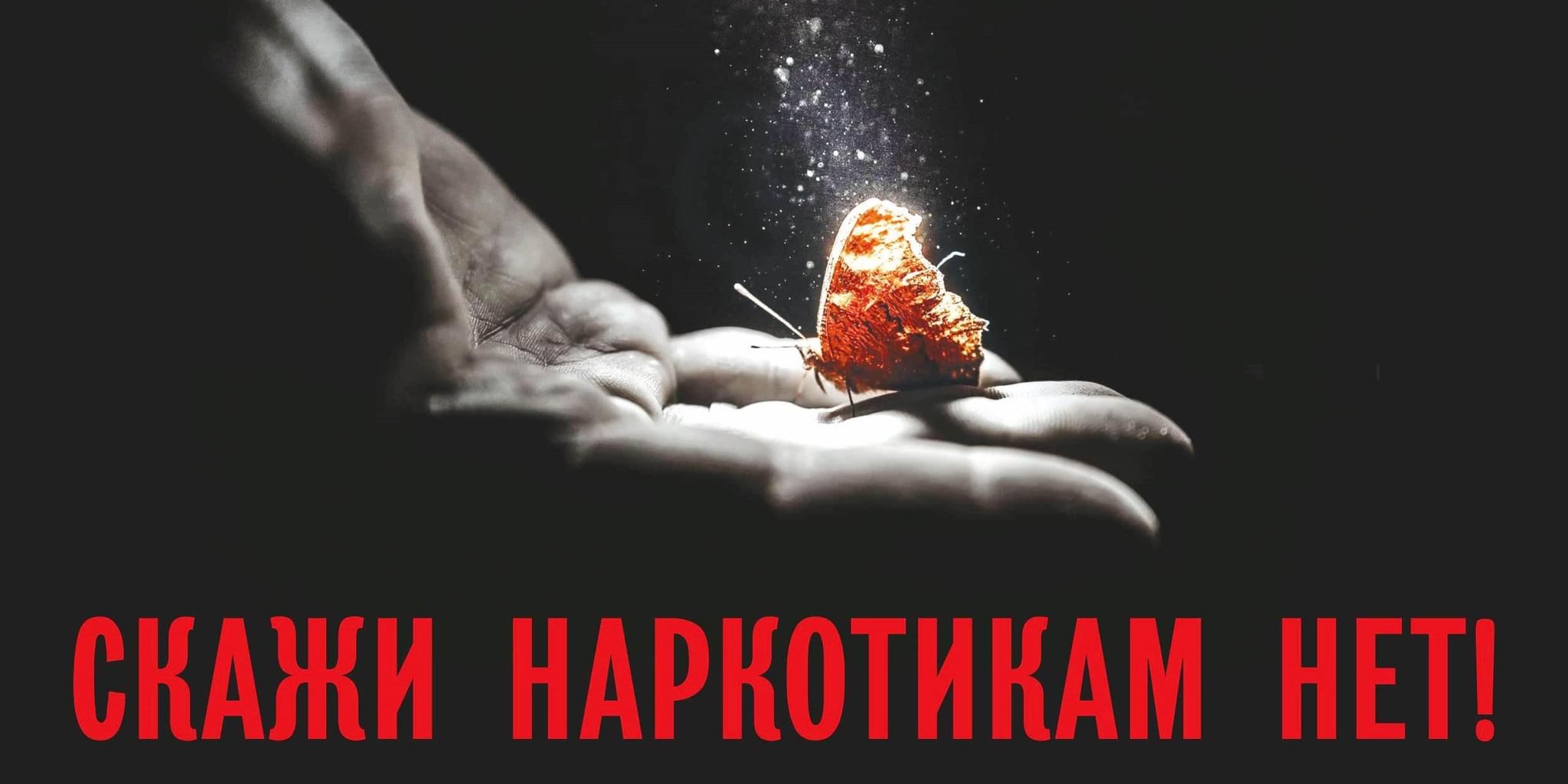Профилактика наркомании