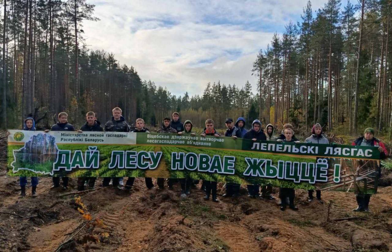 Акция "Дай лесу новае жыццё!" продолжается!