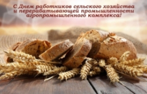 Віншаванне кіраўніцтва Лепельскага раёна з Днём работнікаў сельскай гаспадаркі і перапрацоўчай прамысловасці аграпрамысловага комплексу