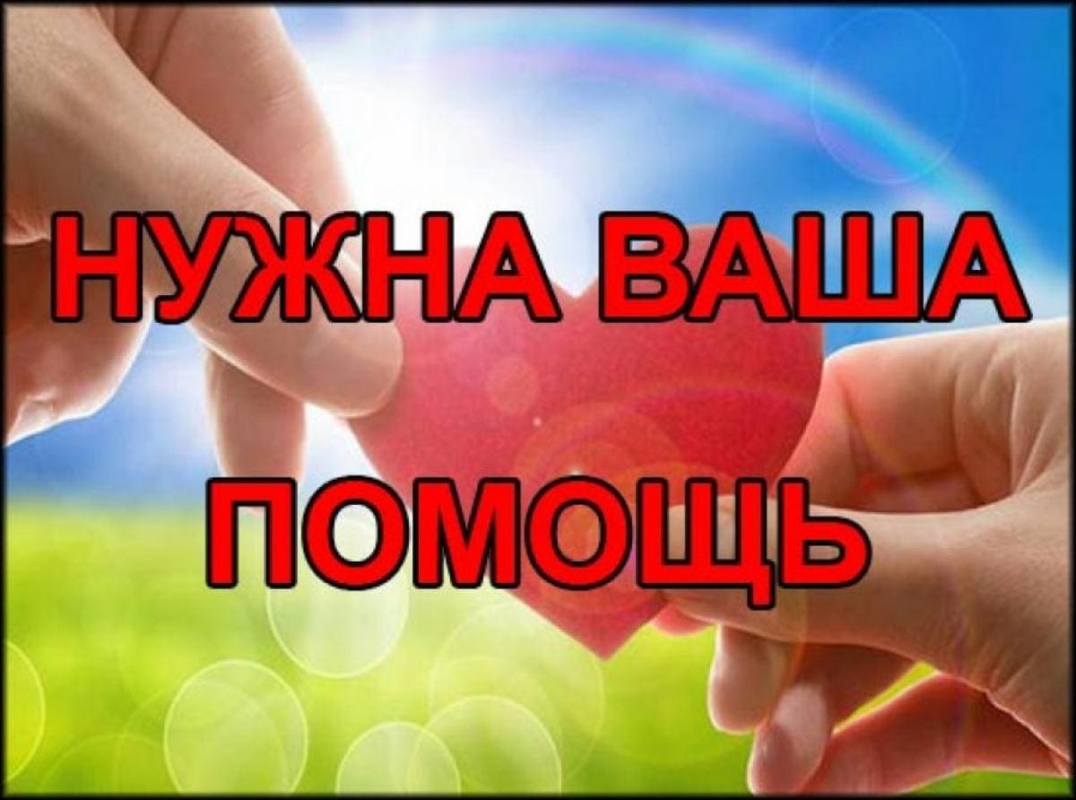 Нужна Ваша помощь