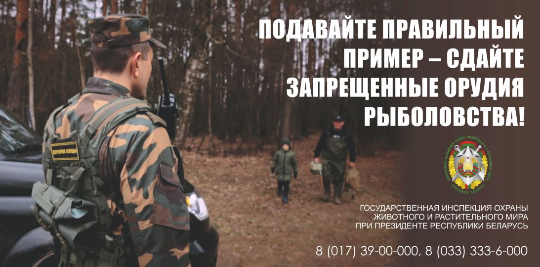 Сдайте запрещенные орудия рыболовства!